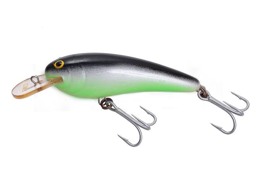 Preto, Branco e Verde